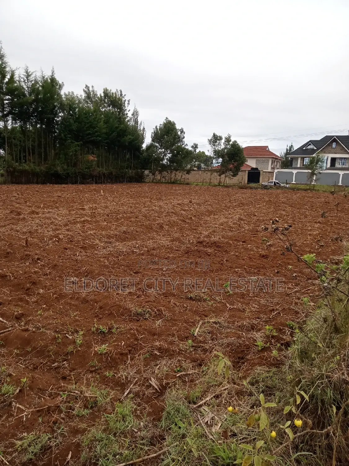 1/2 Acre Elgonview Upper in Kapsuswa