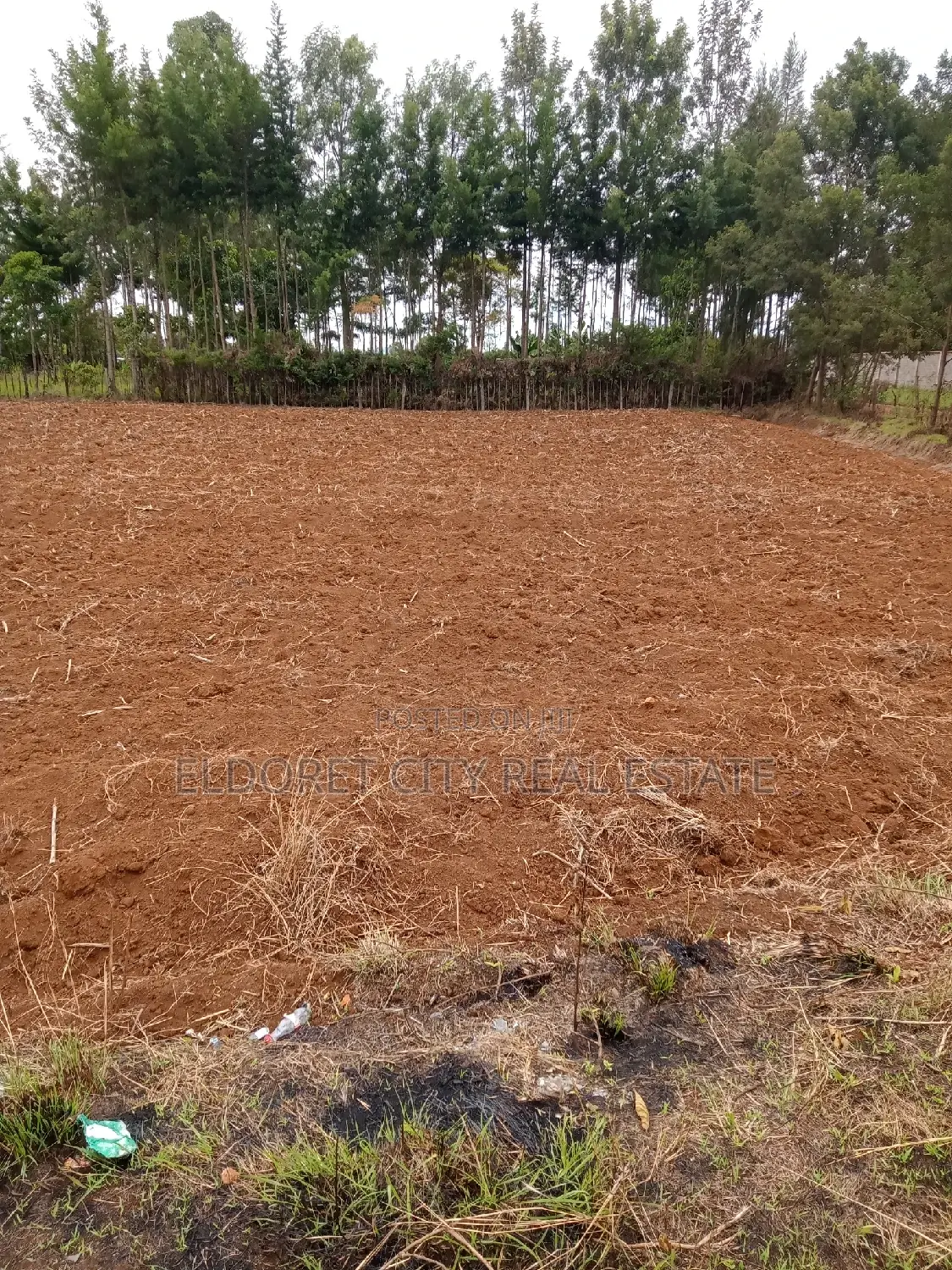 1/2 Acre Elgonview Upper in Kapsuswa