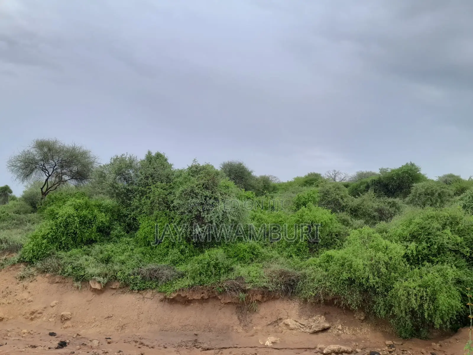 16 Acres Vargin Land in Makindu in Makindu