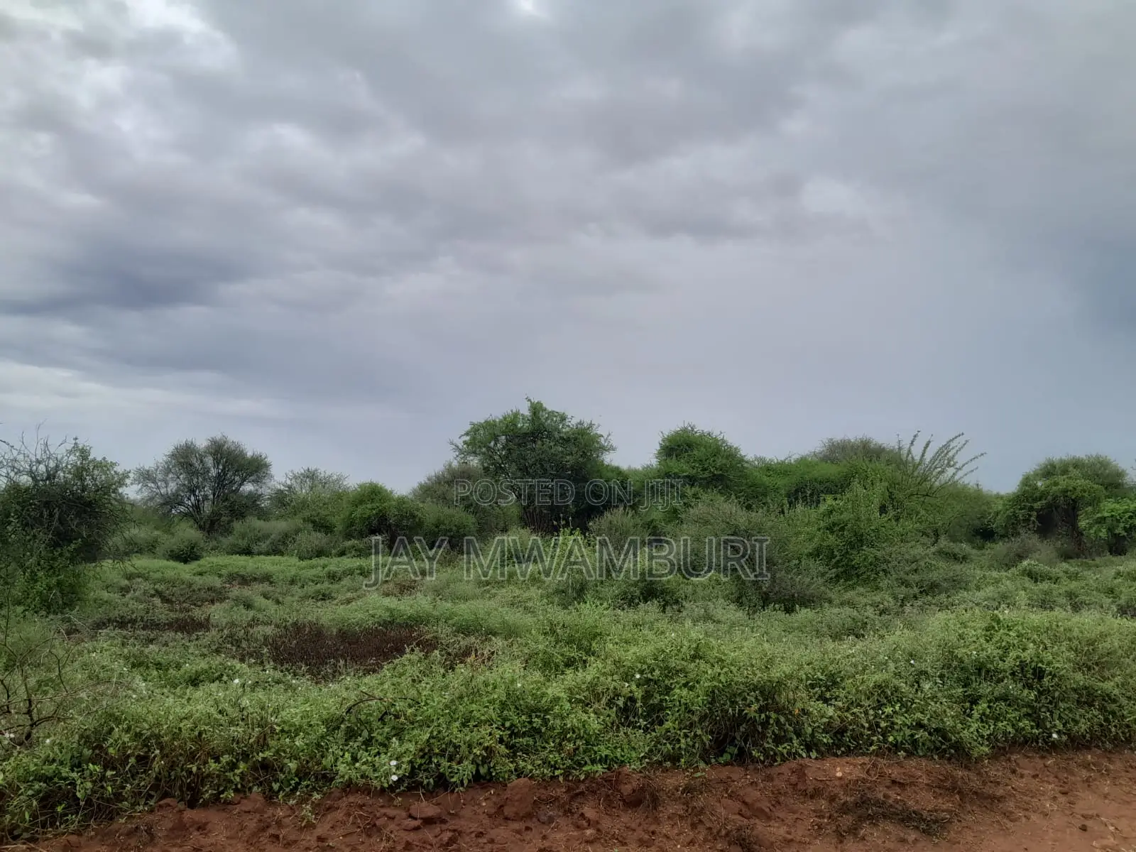 16 Acres Vargin Land in Makindu in Makindu