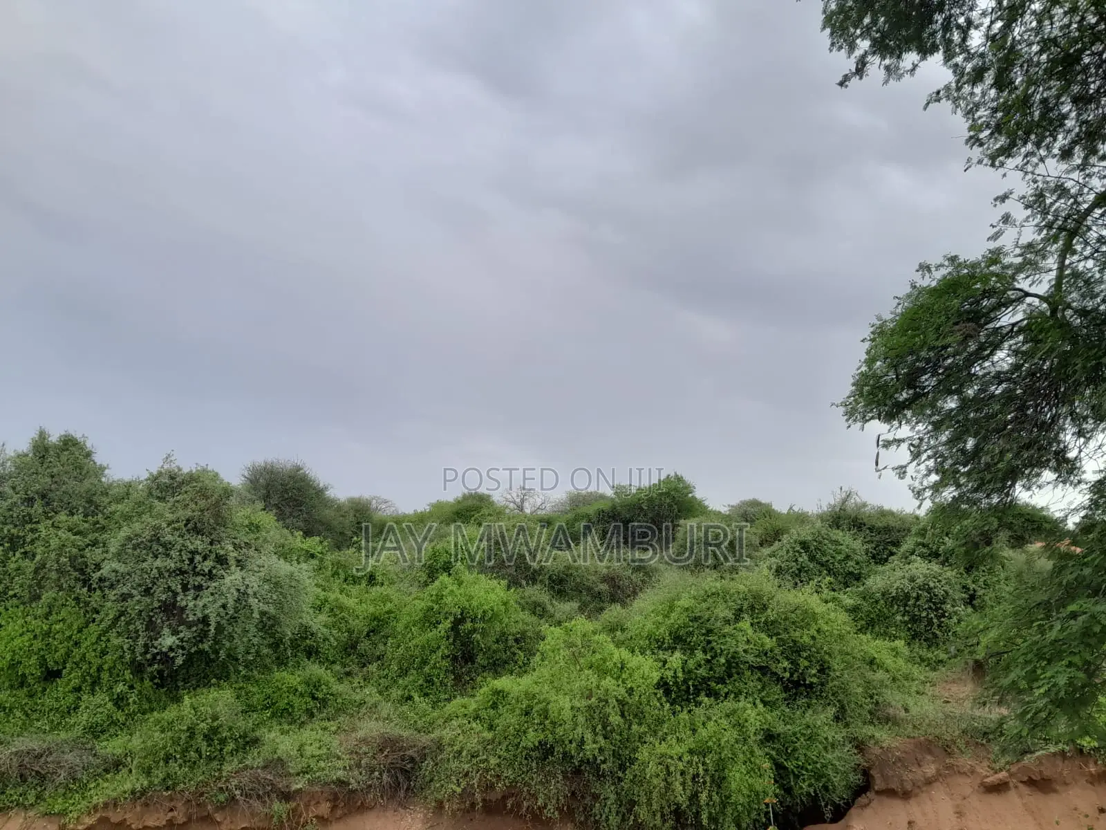 16 Acres Vargin Land in Makindu in Makindu