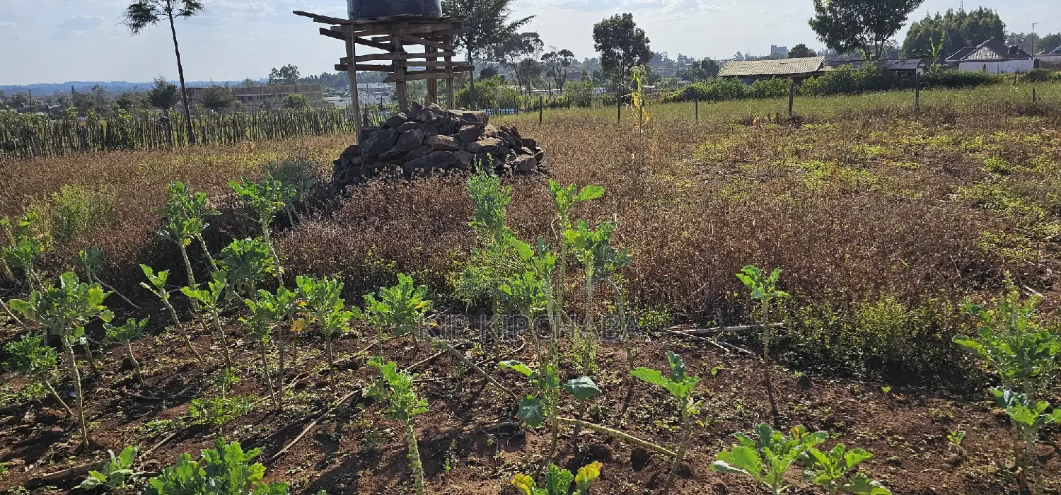 Buy Prime Land in Kapsoya Deligacy, Eldoret - Investment Opportunity in Kapsoya