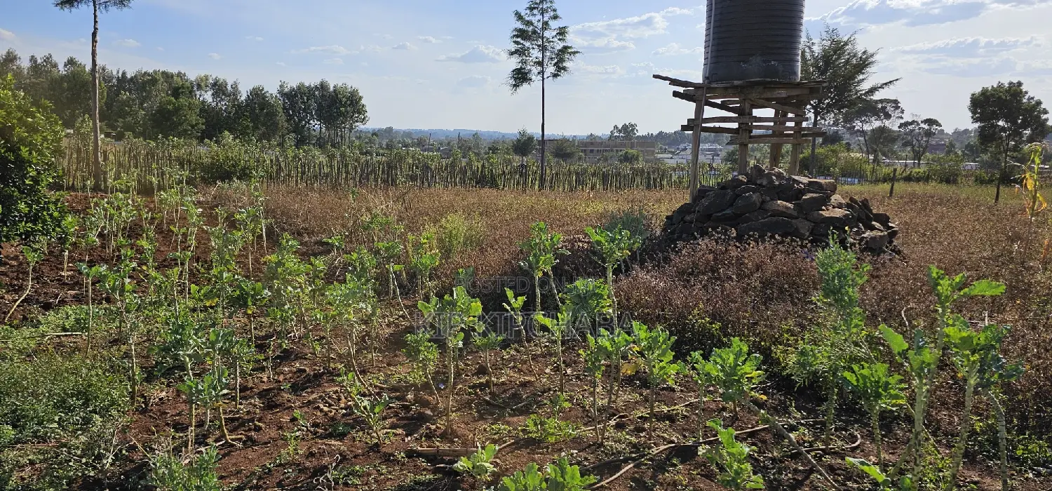 Buy Prime Land in Kapsoya Deligacy, Eldoret - Investment Opportunity in Kapsoya