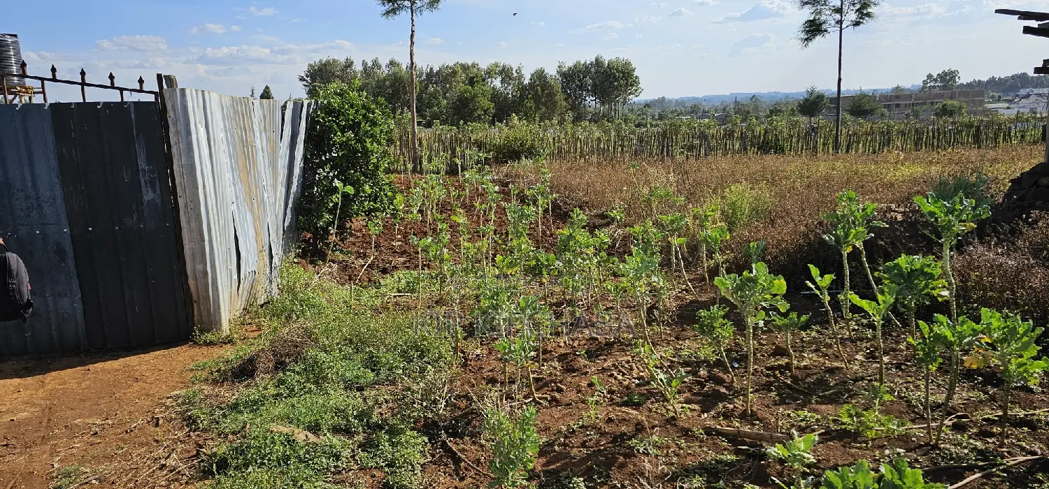 Buy Prime Land in Kapsoya Deligacy, Eldoret - Investment Opportunity in Kapsoya