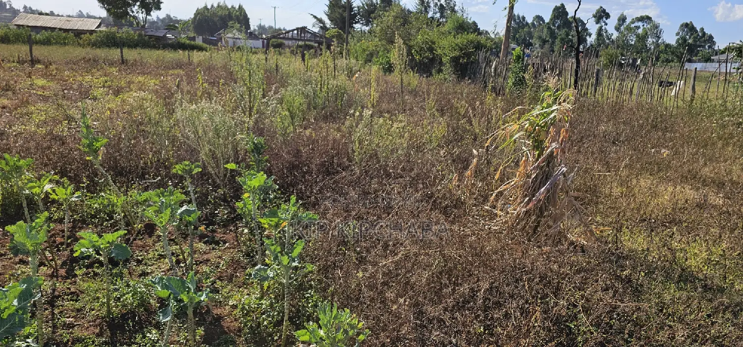 Buy Prime Land in Kapsoya Deligacy, Eldoret - Investment Opportunity in Kapsoya