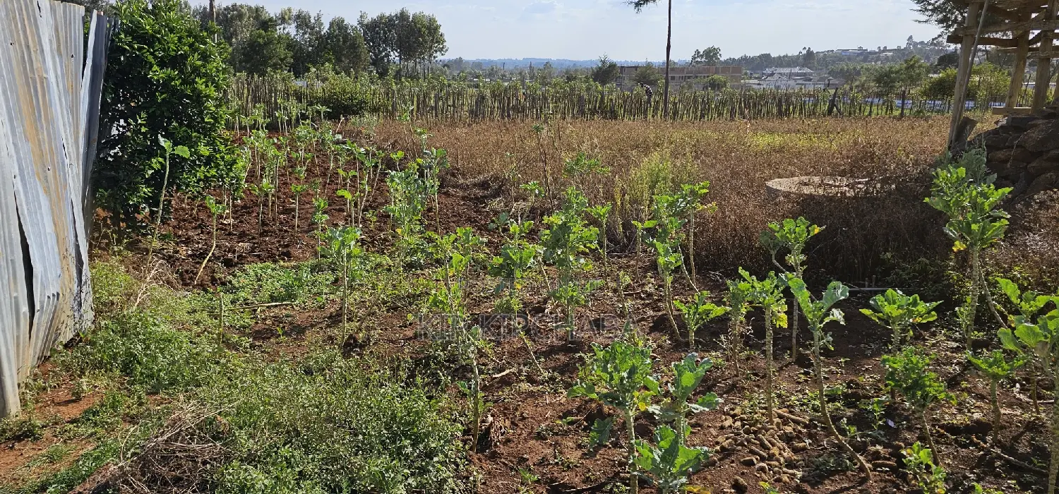 Buy Prime Land in Kapsoya Deligacy, Eldoret - Investment Opportunity in Kapsoya