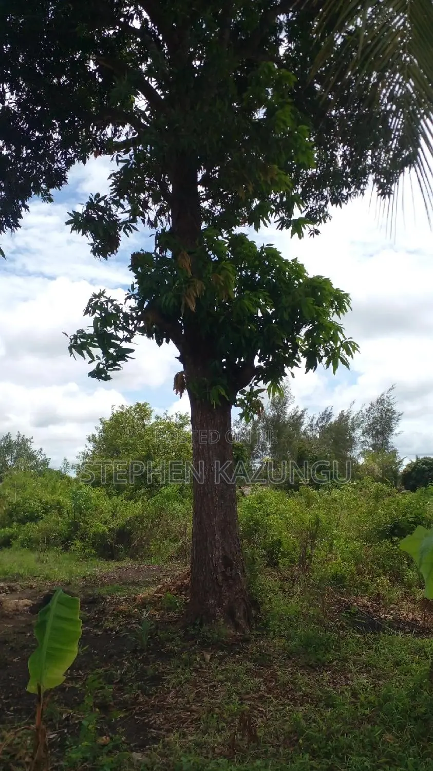 1/2 Acre Plot on Sale at Kinondo 200 Metres From Tarmac. in Ukunda
