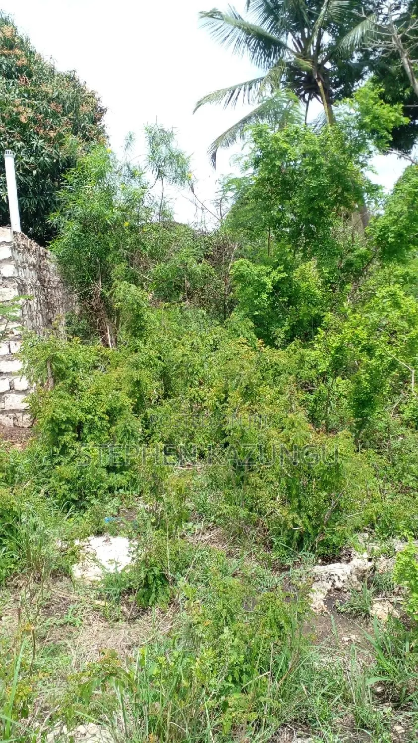 1/2 Acre Plot on Sale at Kinondo 200 Metres From Tarmac. in Ukunda