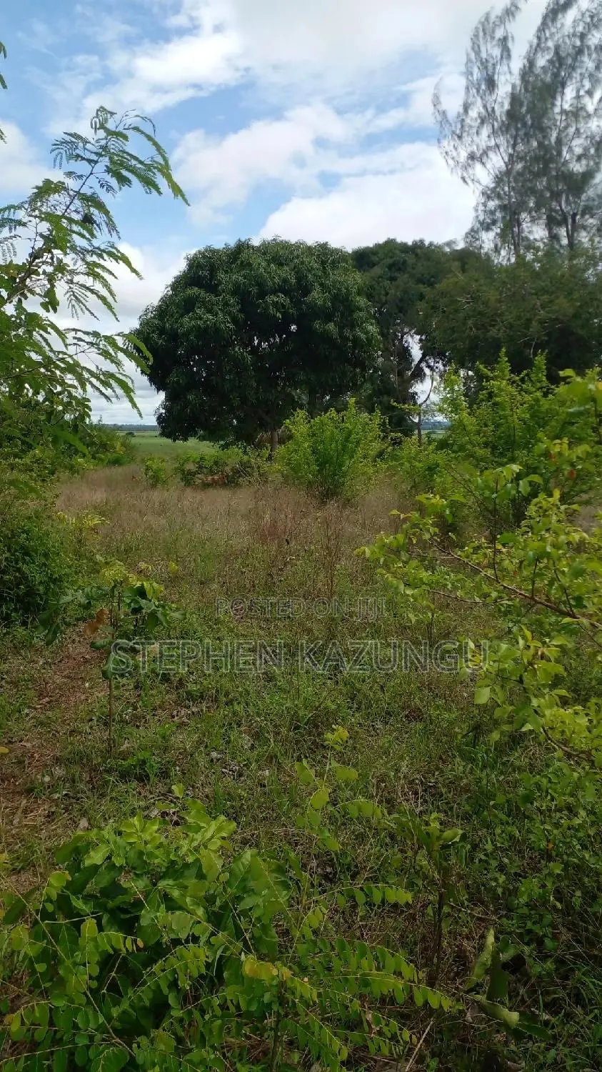 1/2 Acre Plot on Sale at Kinondo 200 Metres From Tarmac. in Ukunda