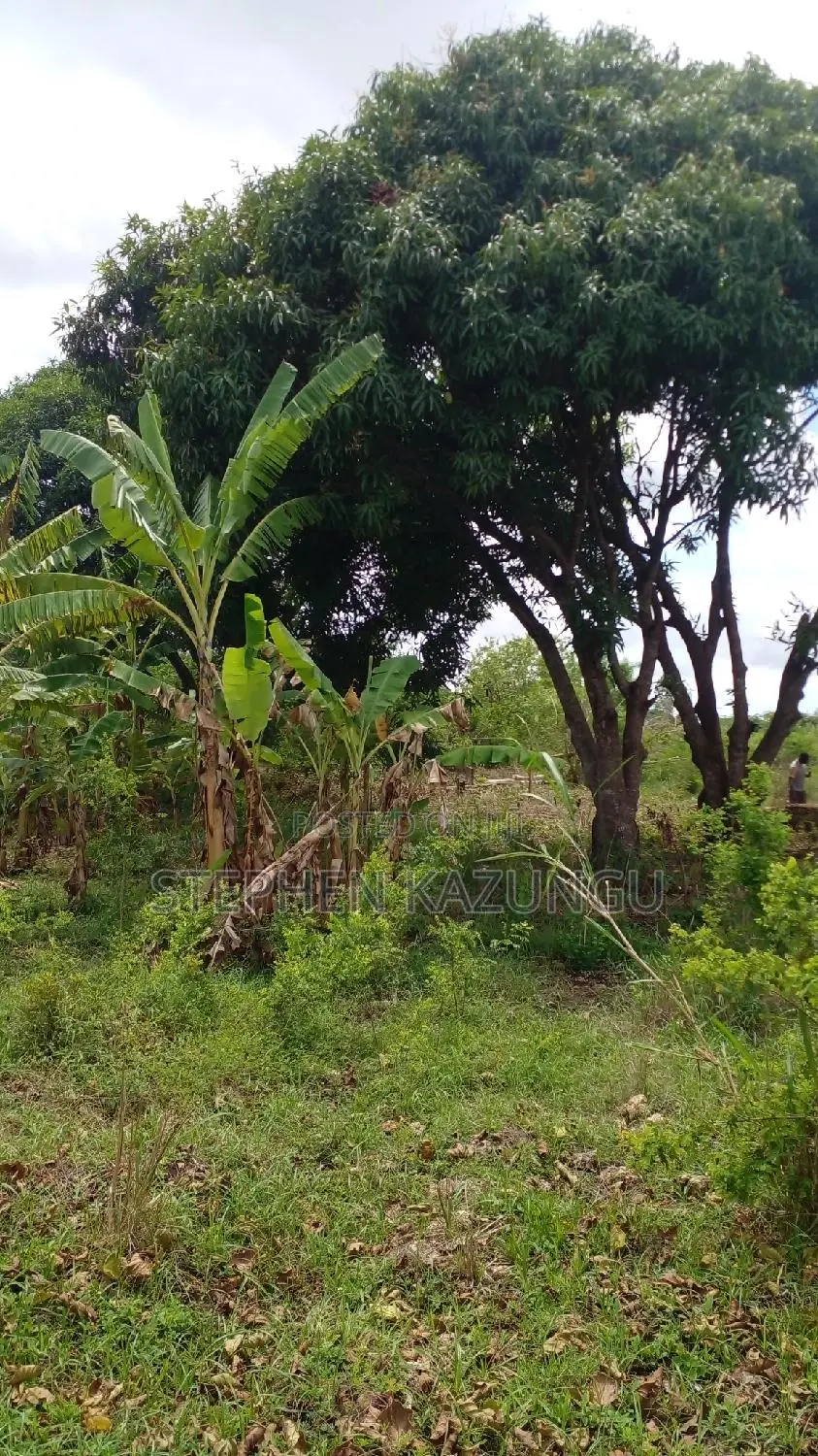 1/2 Acre Plot on Sale at Kinondo 200 Metres From Tarmac. in Ukunda