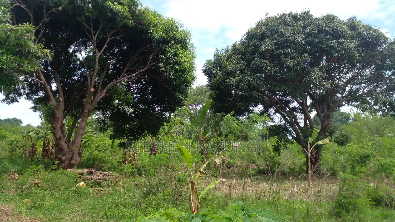 1 Acre Prime Plot on Sale at Kinondo in Ukunda Urban Zone. in Ukunda