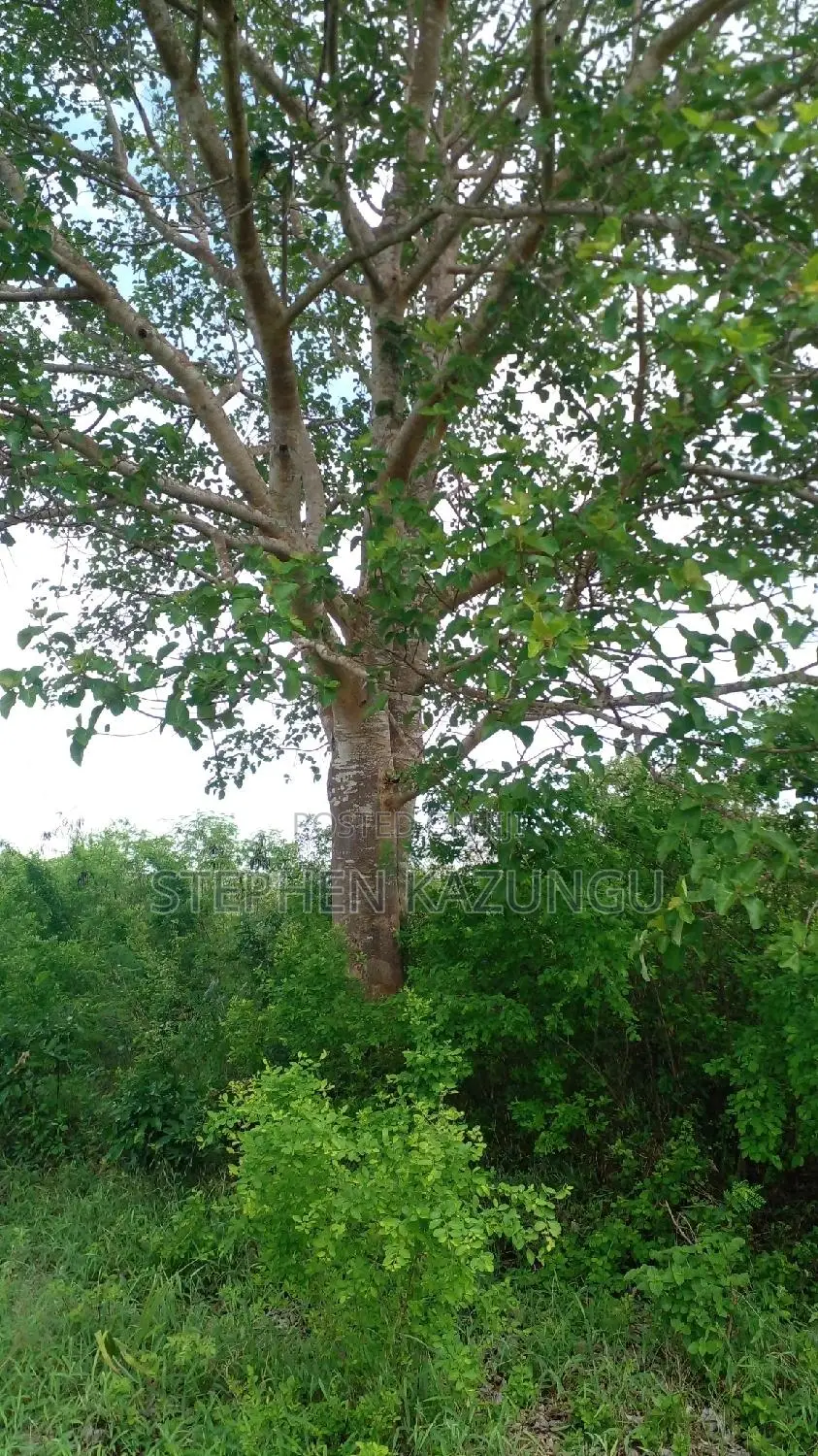 1 Acre Prime Plot on Sale at Kinondo in Ukunda Urban Zone. in Ukunda