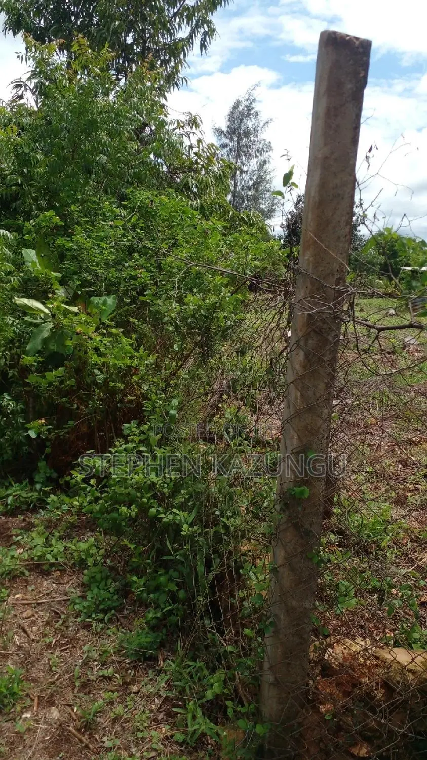 2 Acres Precious Plot on Sale at Corner Chale After Kinondo. in Ukunda