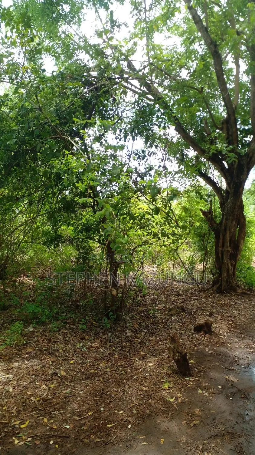 2 Acres Precious Plot on Sale at Corner Chale After Kinondo. in Ukunda