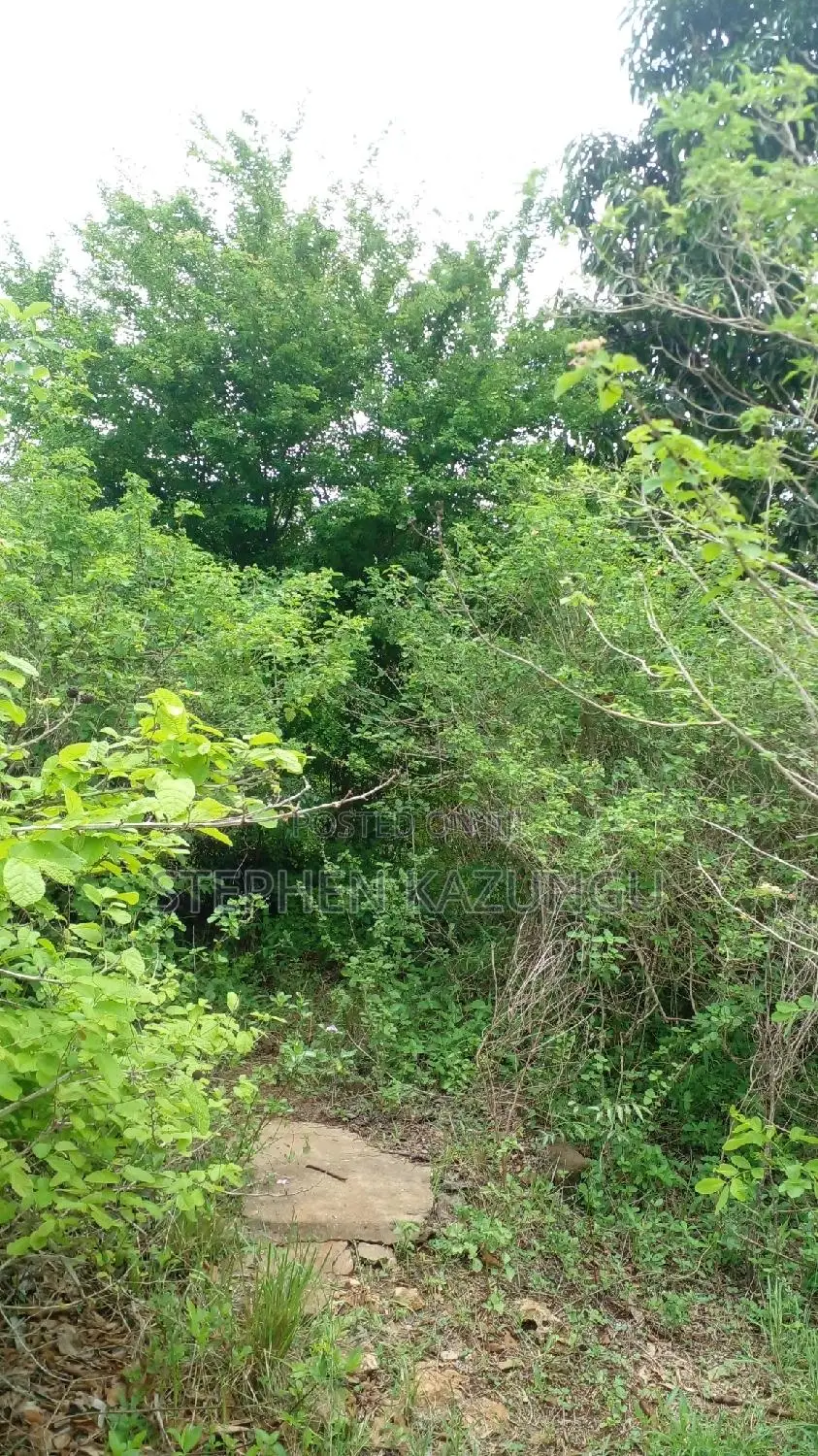 2 Acres Precious Plot on Sale at Corner Chale After Kinondo. in Ukunda