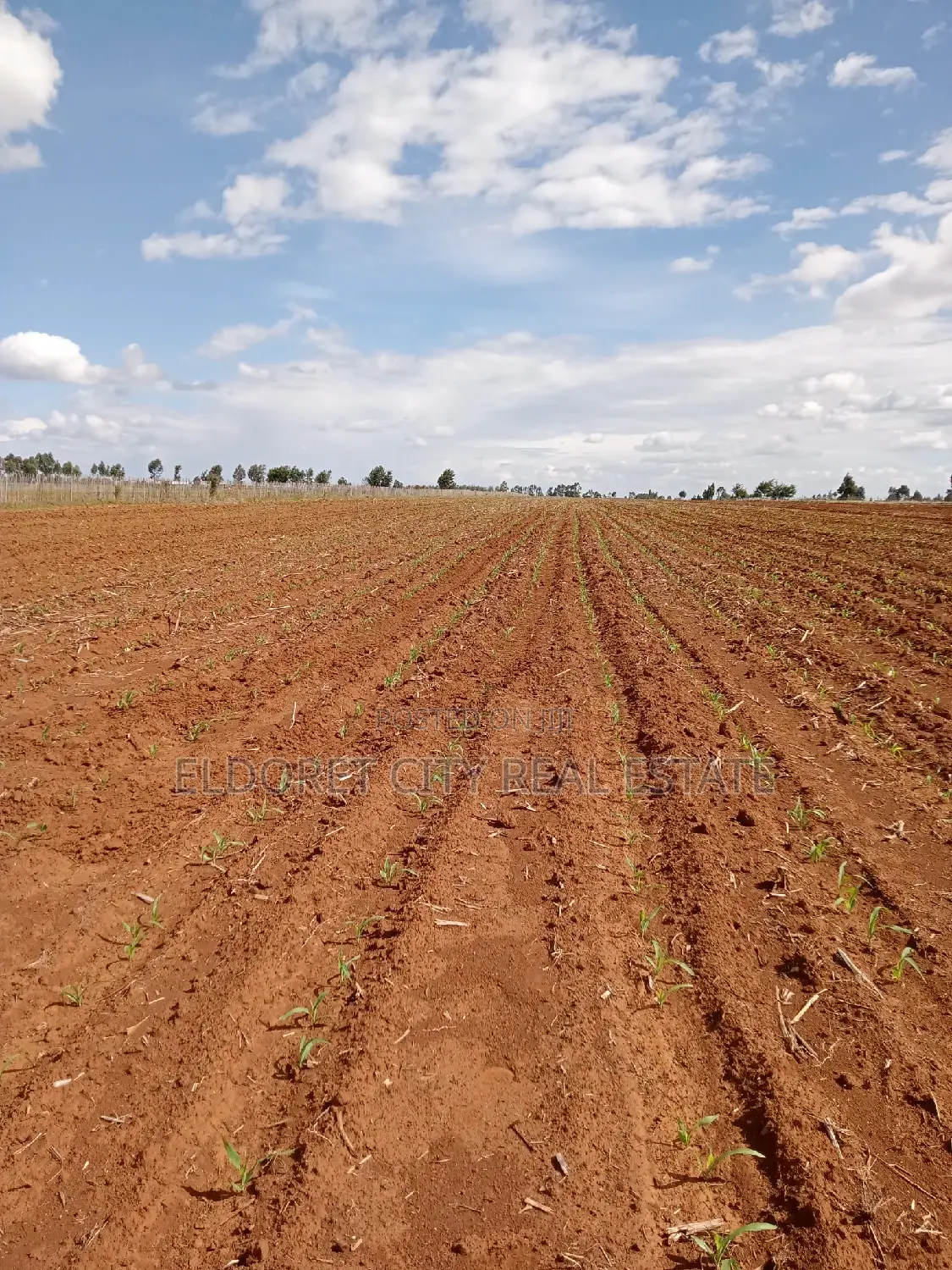 7 Acres With Title Merewet. in Kapsuswa