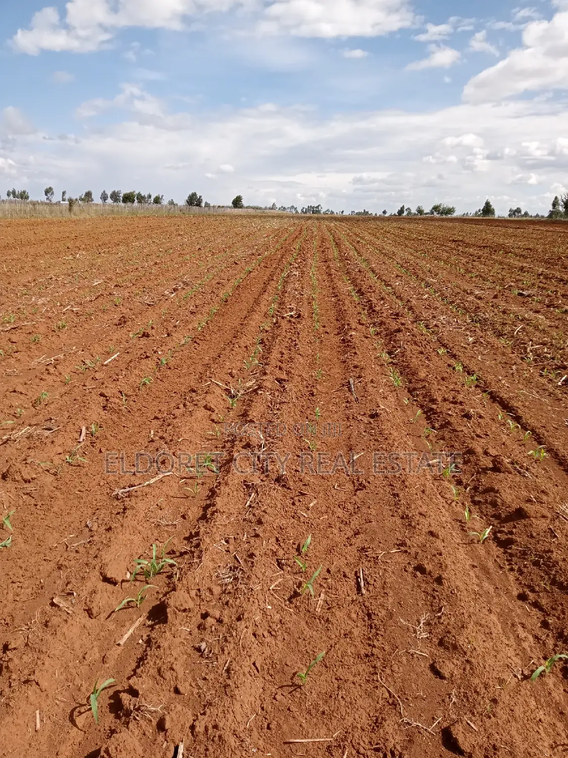 7 Acres With Title Merewet. in Kapsuswa