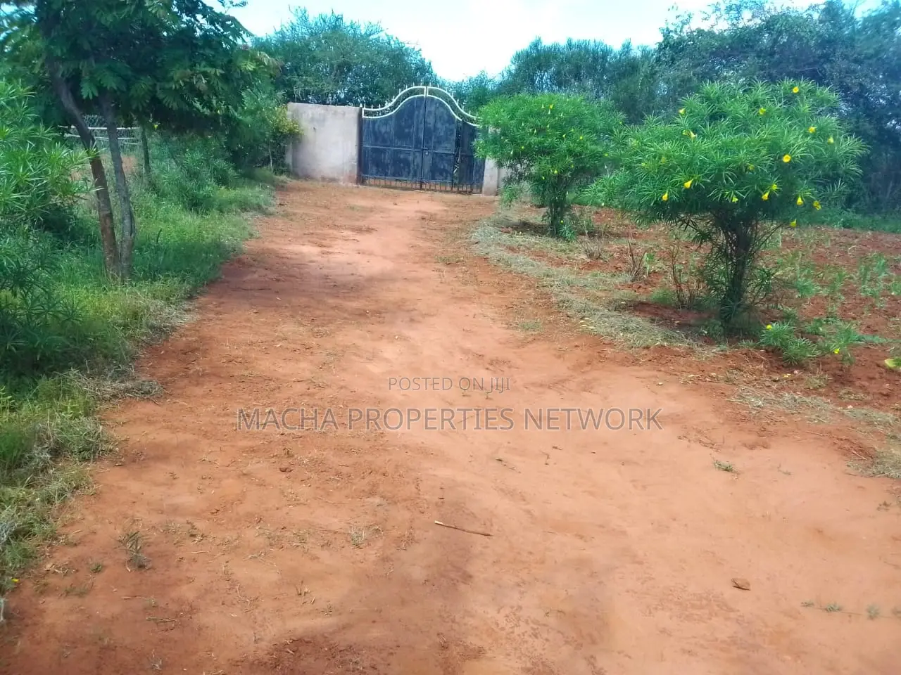 Immediate Sale 3-Bedroom Home with 1 Quatre Acre Land - Kes 2.8M in Masinga Central