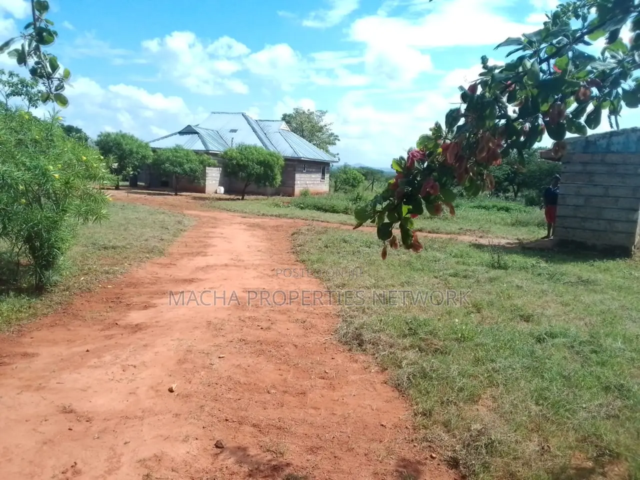 Immediate Sale 3-Bedroom Home with 1 Quatre Acre Land - Kes 2.8M in Masinga Central