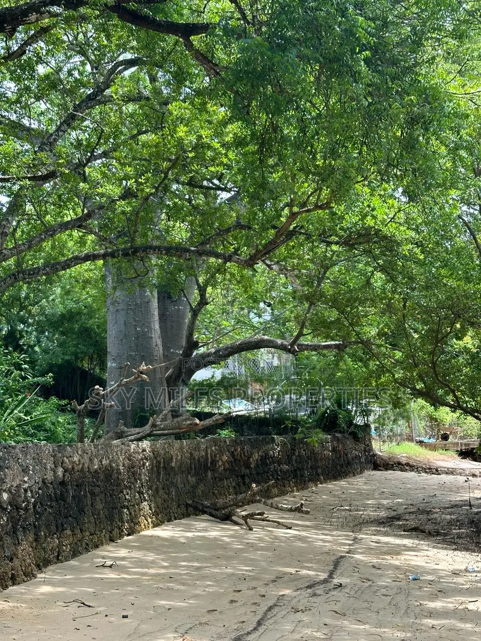 Serene Beachfront 1/4 Acre Plot in Serena - For Sale Immediately! in Shanzu
