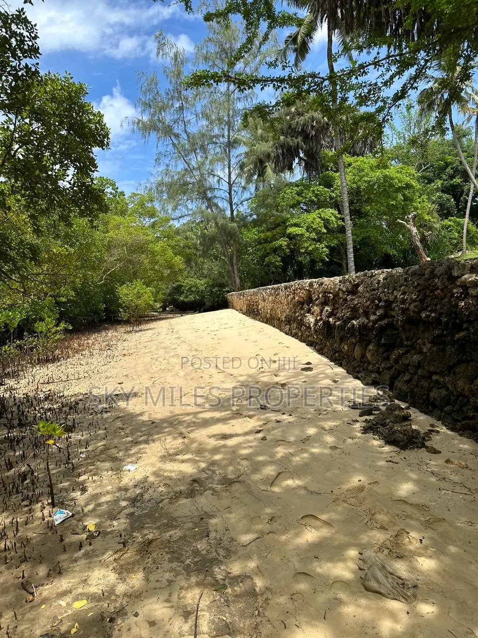 Serene Beachfront 1/4 Acre Plot in Serena - For Sale Immediately! in Shanzu