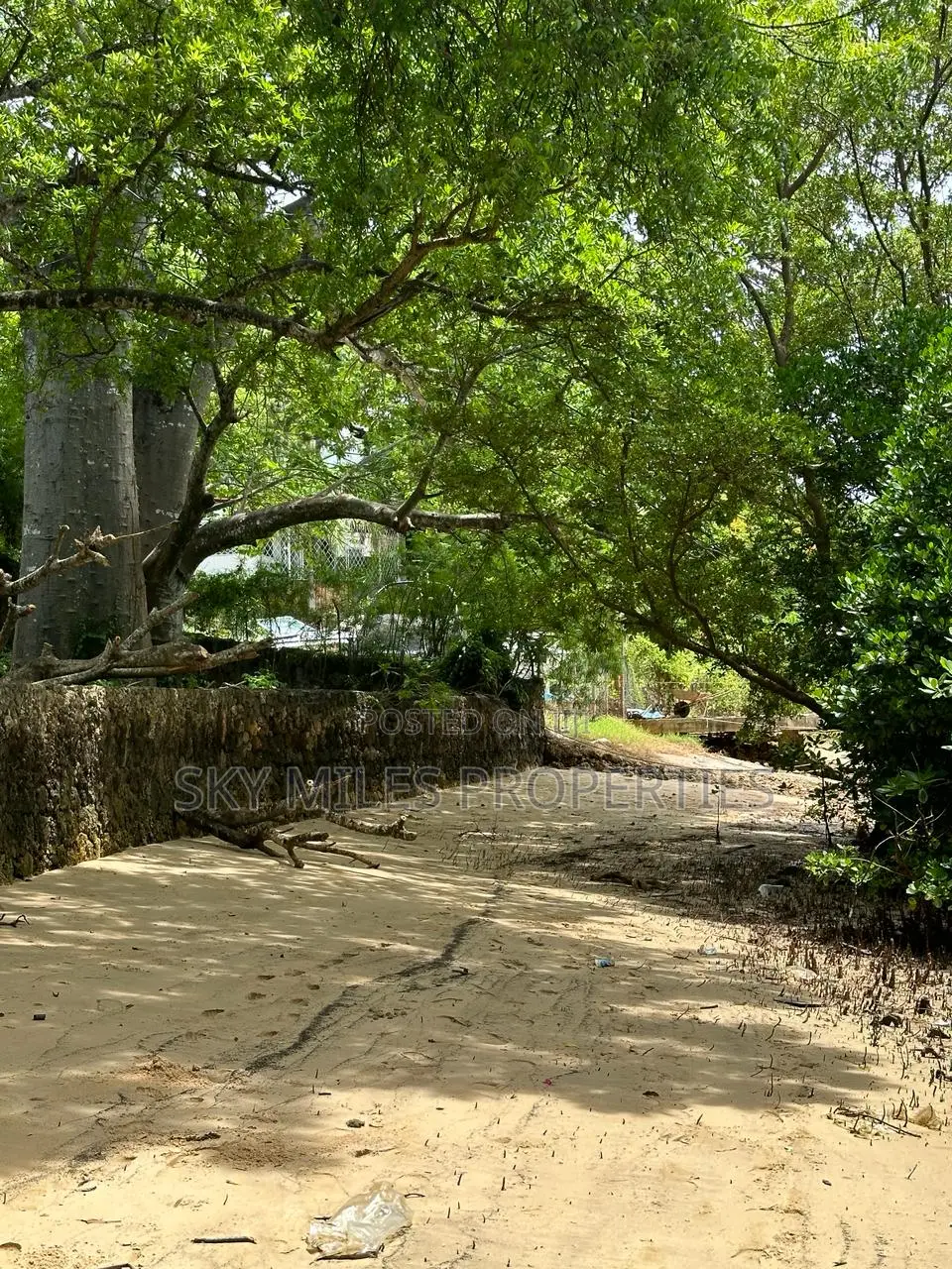 Serene Beachfront 1/4 Acre Plot in Serena - For Sale Immediately! in Shanzu