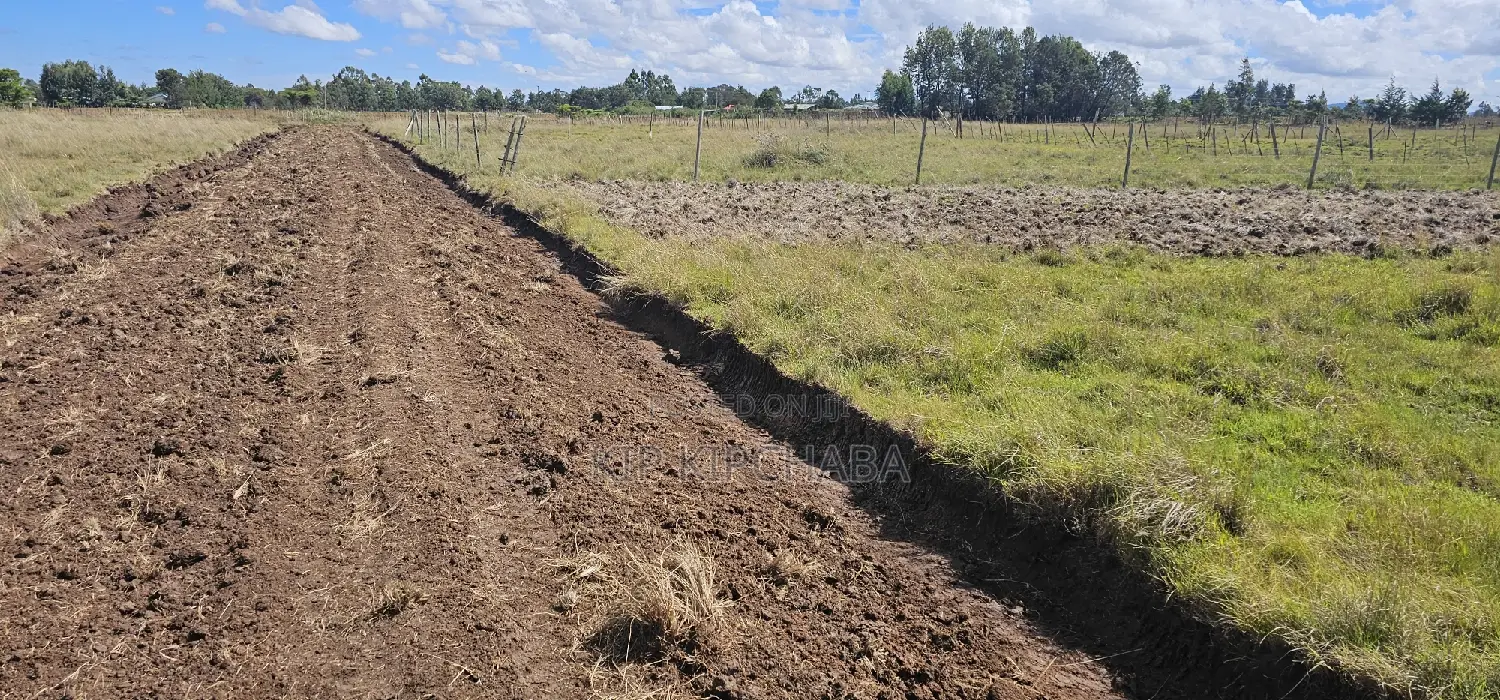 Marura Eldoret: Unbeatable Tarmac-Adjacent Land for Sale in Kimumu