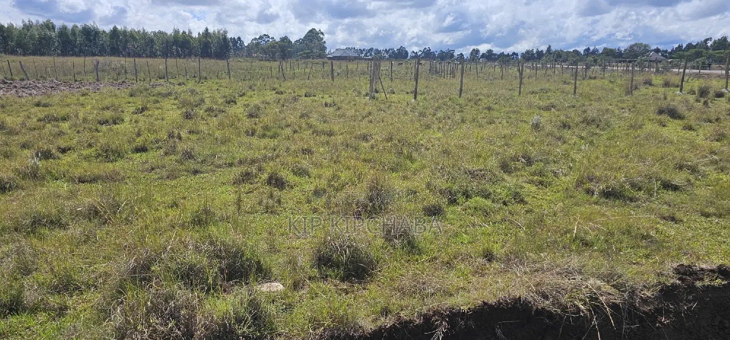 Marura Eldoret: Unbeatable Tarmac-Adjacent Land for Sale in Kimumu