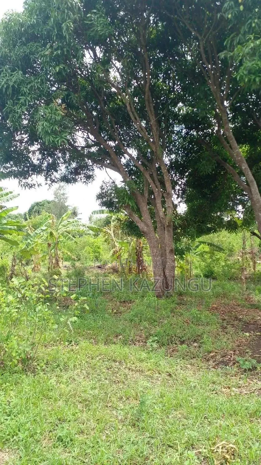 6.5 Acres Treasure at Kinondo Only 200 Metres From Tarmac in Ukunda