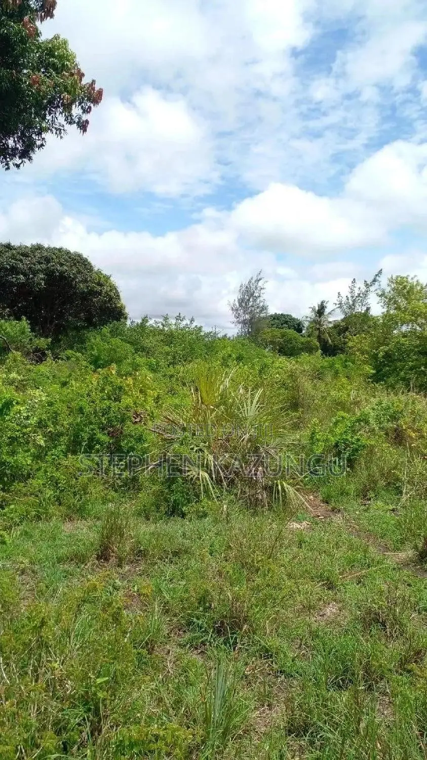 6.5 Acres Treasure at Kinondo Only 200 Metres From Tarmac in Ukunda