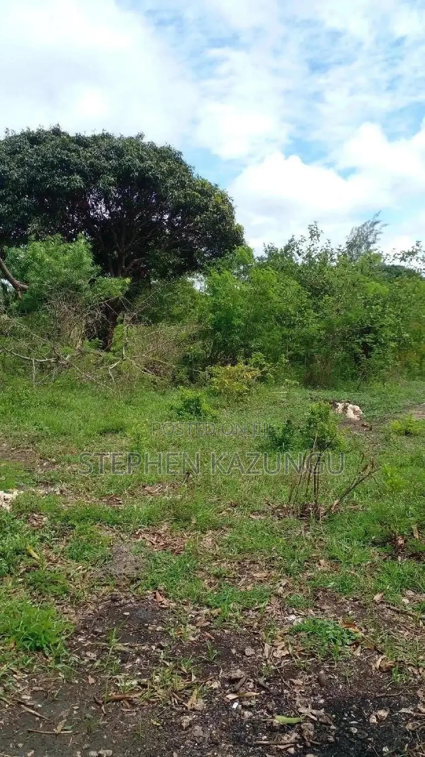 6.5 Acres Treasure at Kinondo Only 200 Metres From Tarmac in Ukunda