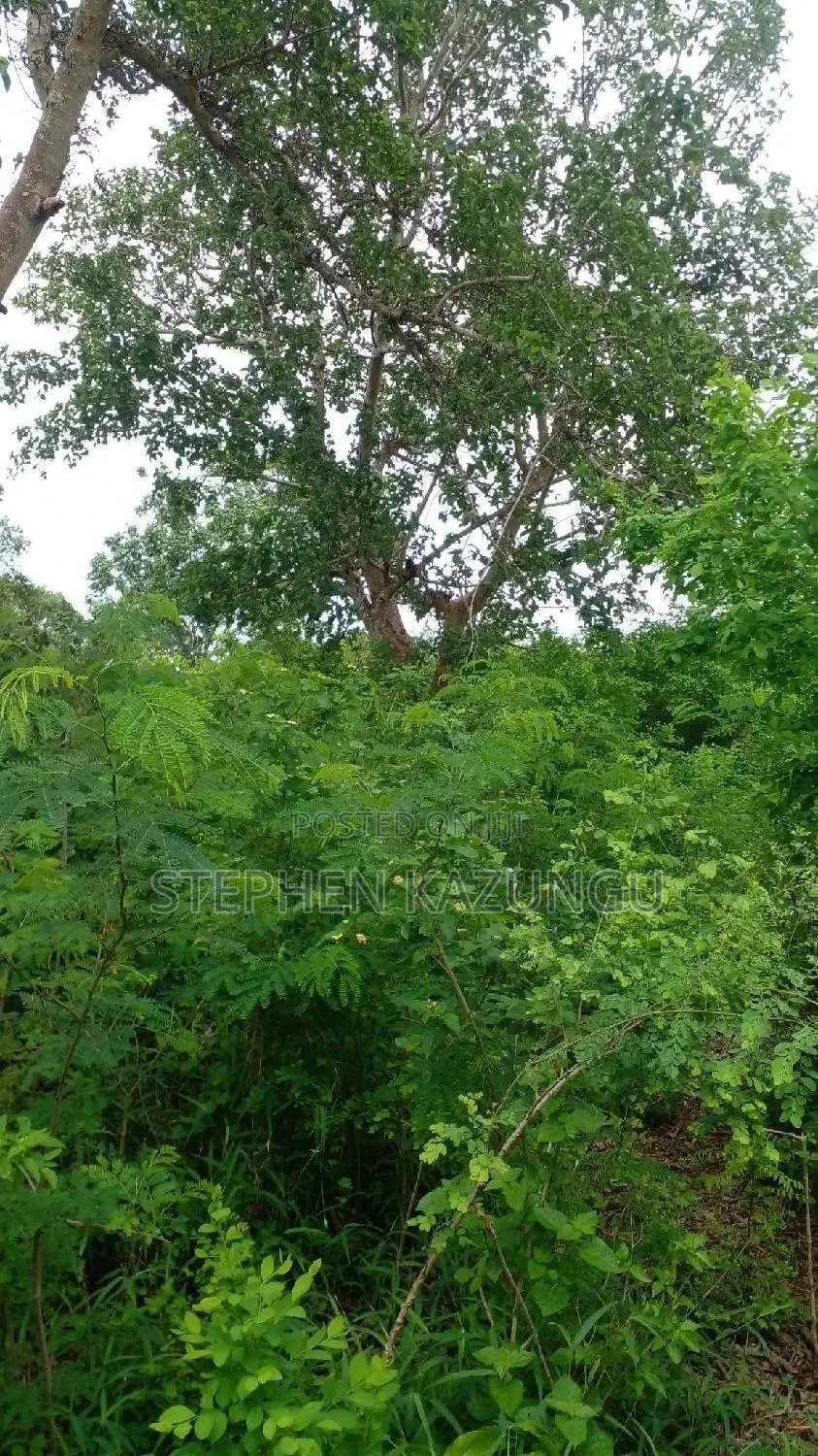 6.5 Acres Treasure at Kinondo Only 200 Metres From Tarmac in Ukunda