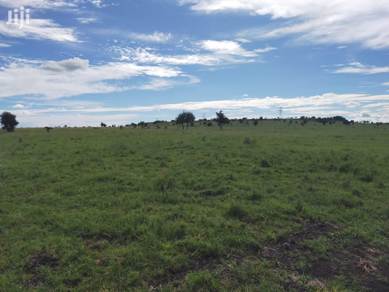 9 Acre Ostrich Farm in Kitengela, Kenya: For Sale or Lease in Kitengela