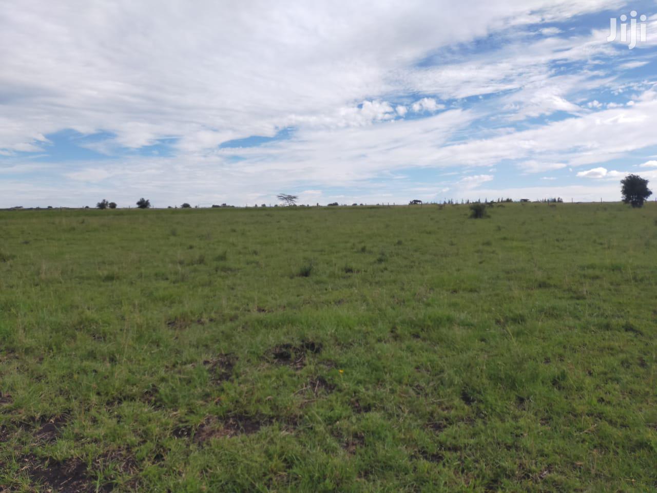 9 Acre Ostrich Farm in Kitengela, Kenya: For Sale or Lease in Kitengela