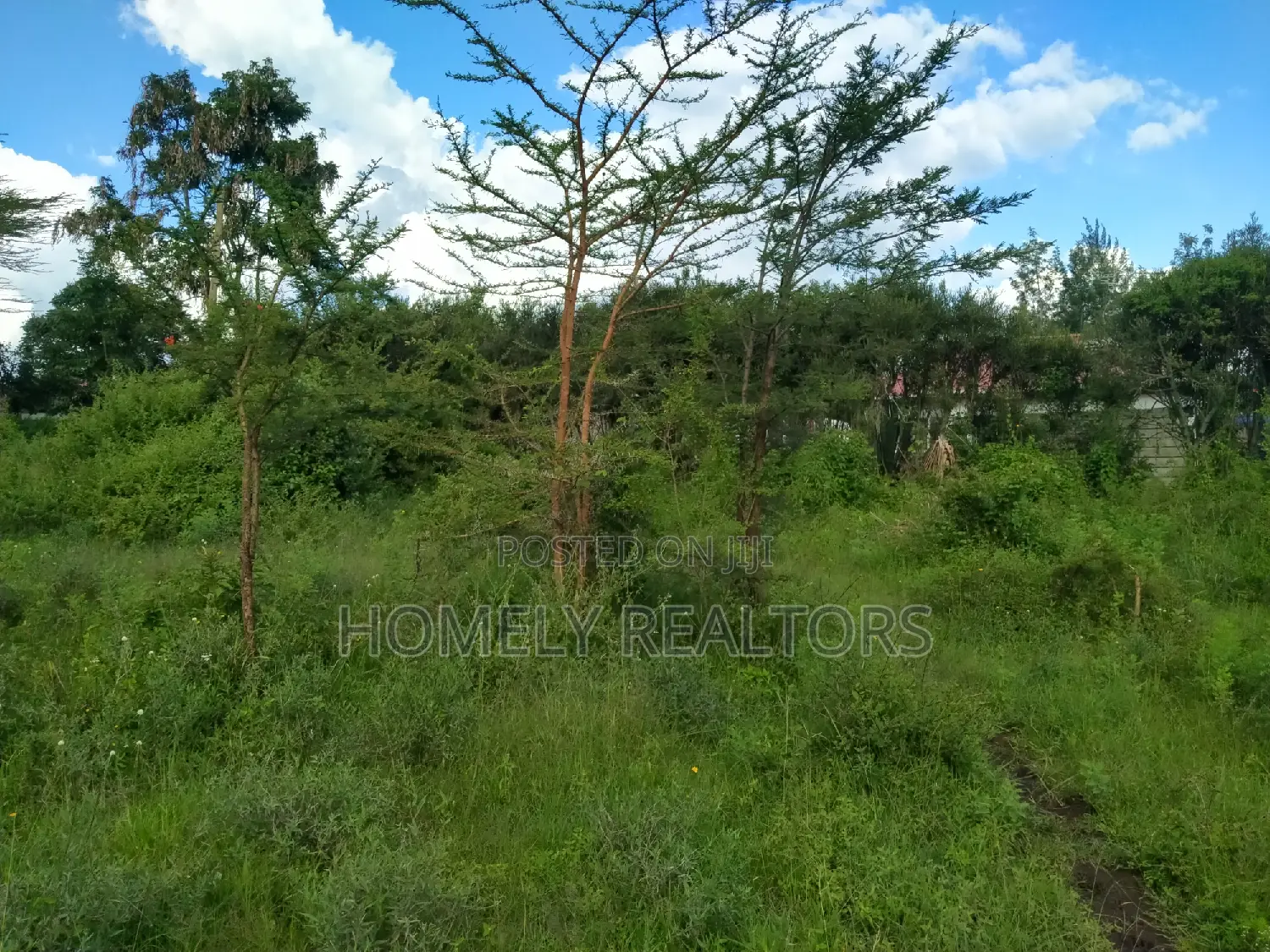 Kanisani Area, Nkoroi: Spacious Eighth Acre Land in Ongata Rongai in Nkoroi