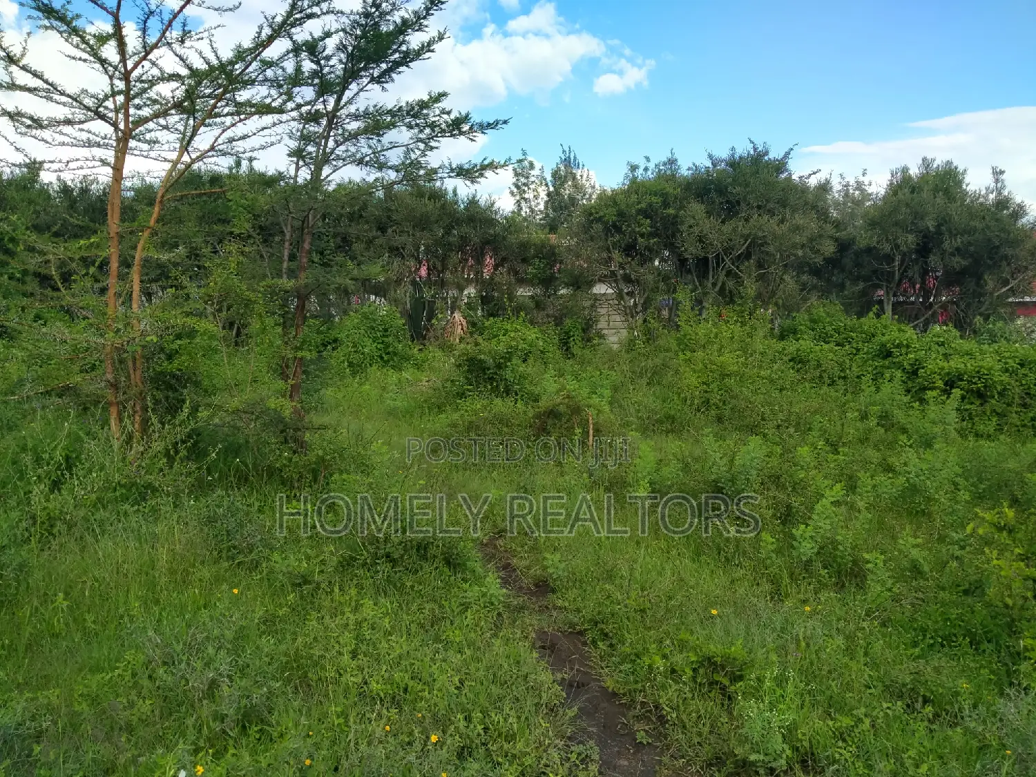 Kanisani Area, Nkoroi: Spacious Eighth Acre Land in Ongata Rongai in Nkoroi