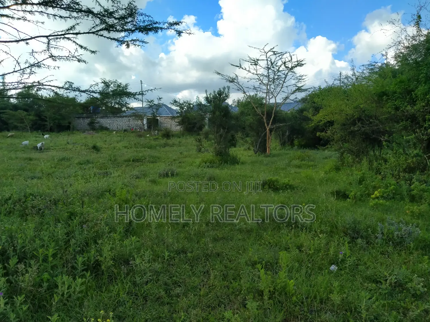 Quarter Acre Land for Sale in Ongata Rongai, Nkoroi - Kanisani Area in Nkoroi