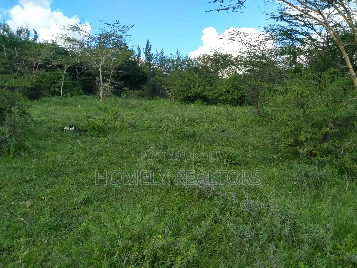 Quarter Acre Land for Sale in Ongata Rongai, Nkoroi - Kanisani Area in Nkoroi