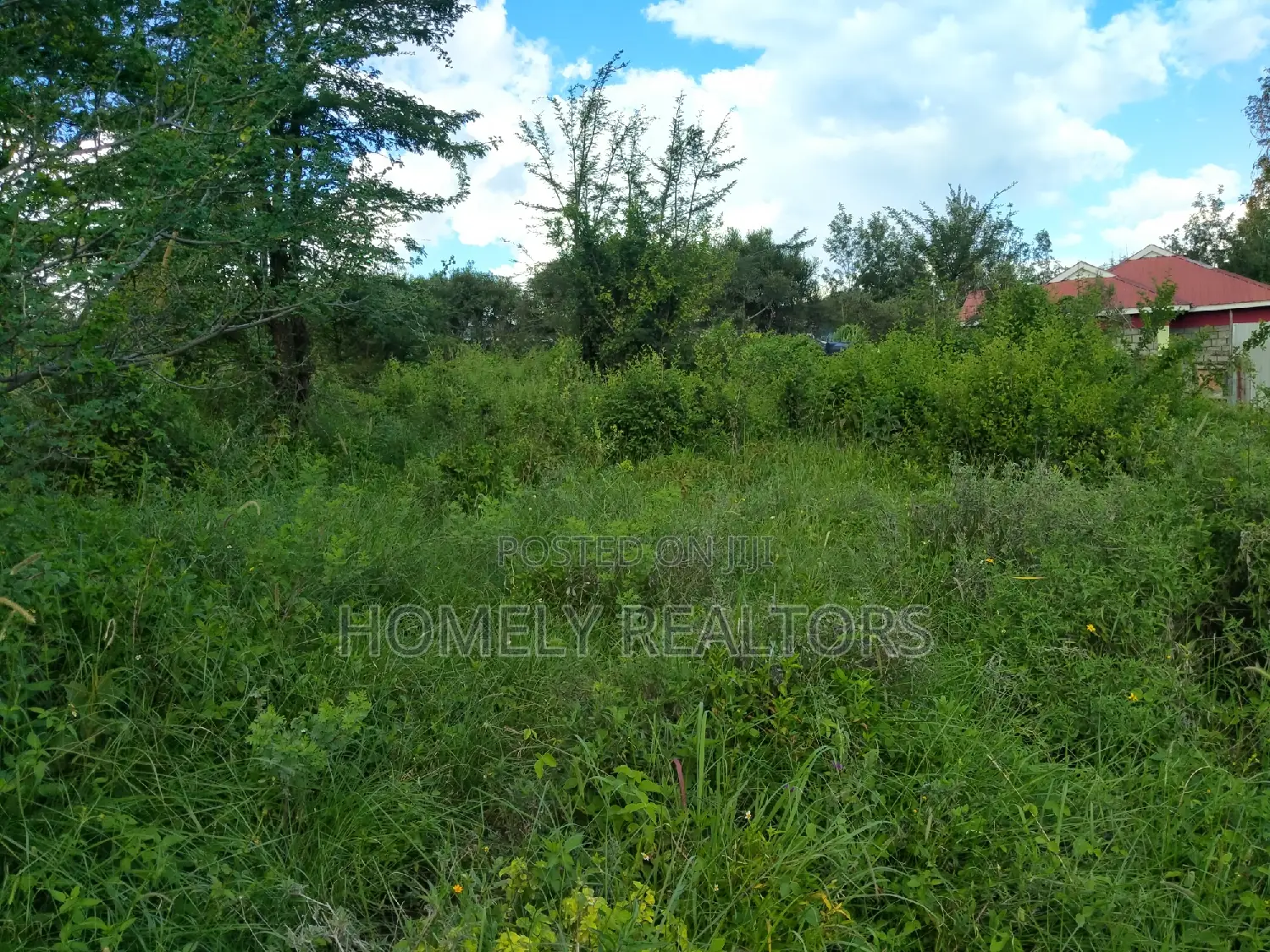 Quarter Acre Land for Sale in Ongata Rongai, Nkoroi - Kanisani Area in Nkoroi