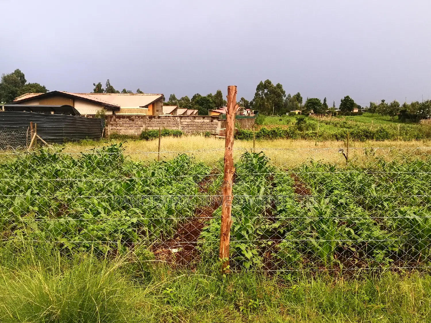 50by100 Plot for Sale in Kamangu Kikuyu Kiambu County. in Kikuyu