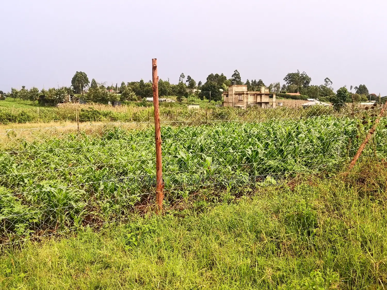 50by100 Plot for Sale in Kamangu Kikuyu Kiambu County. in Kikuyu