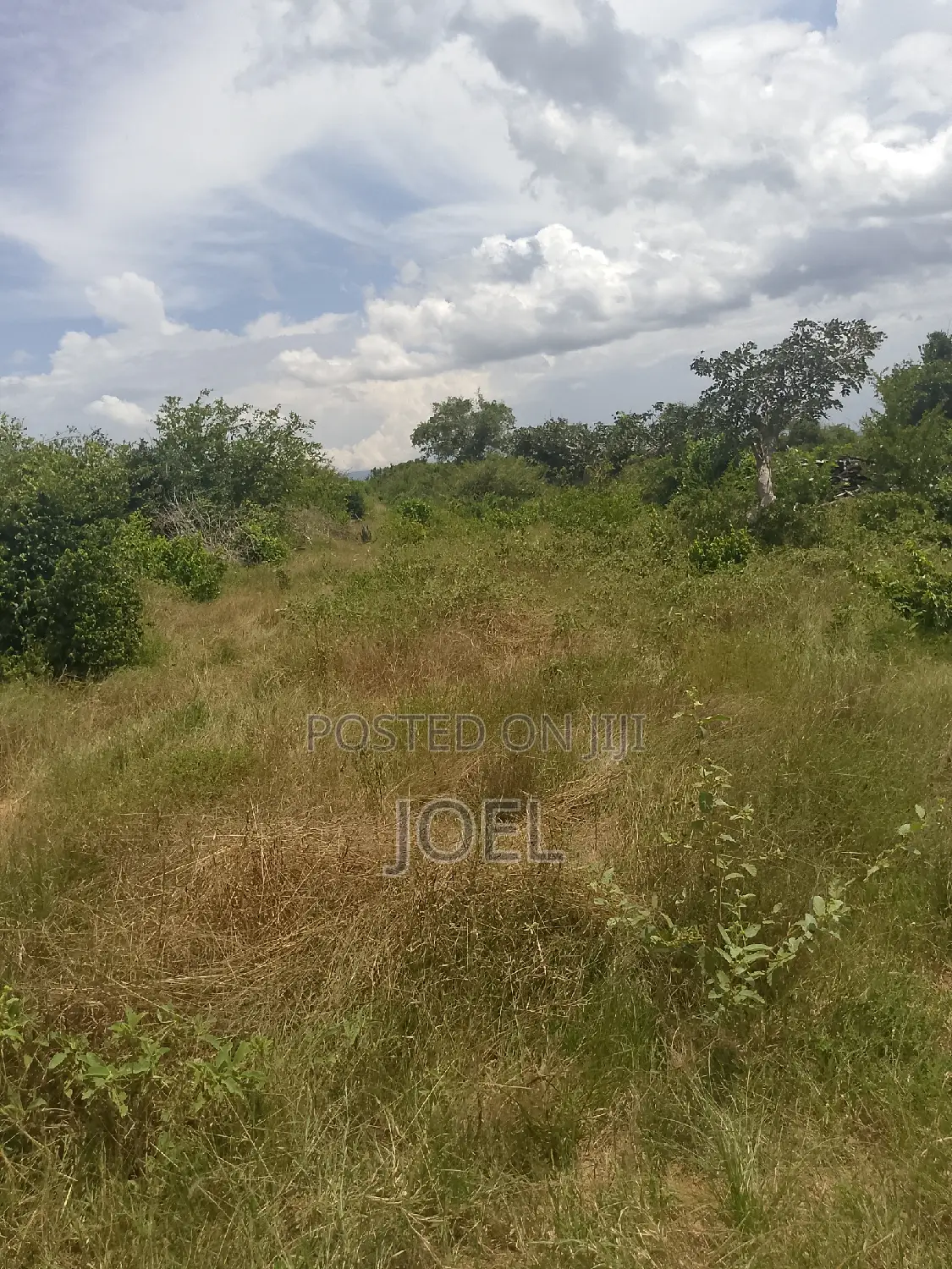 Title Deed Malindi Land - 30 Acres Ready for Sale in Malindi