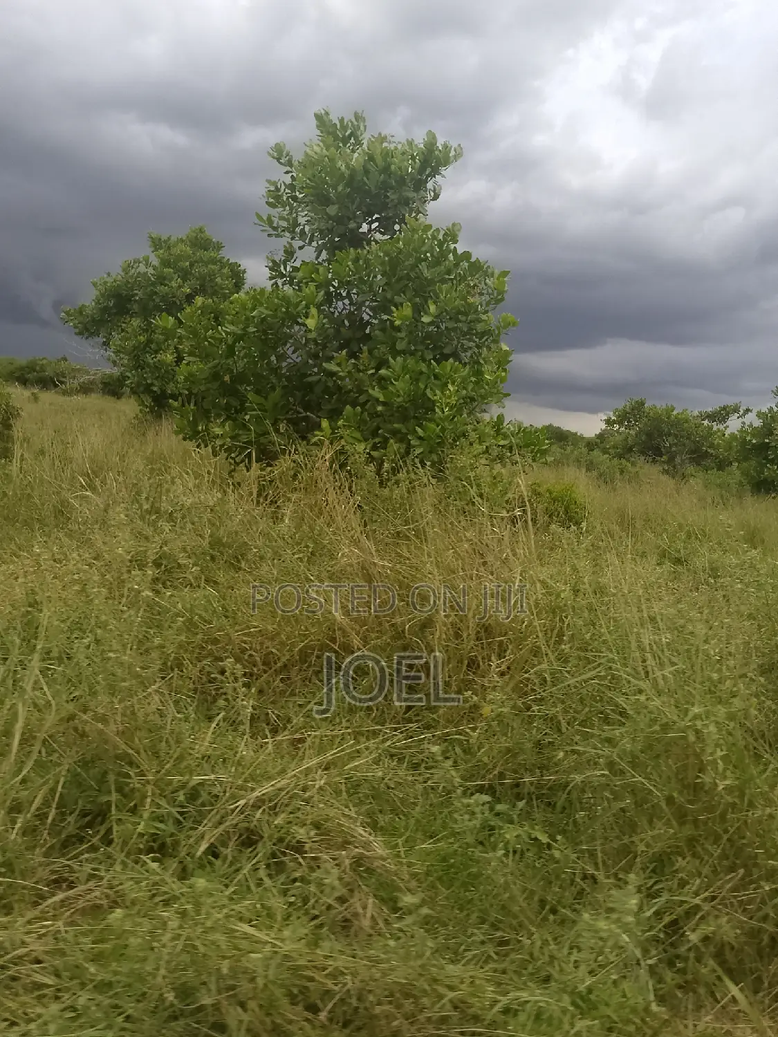 Malindi 18 Acres Land with Ready Title Deed - Exclusive Offer in Town Centre