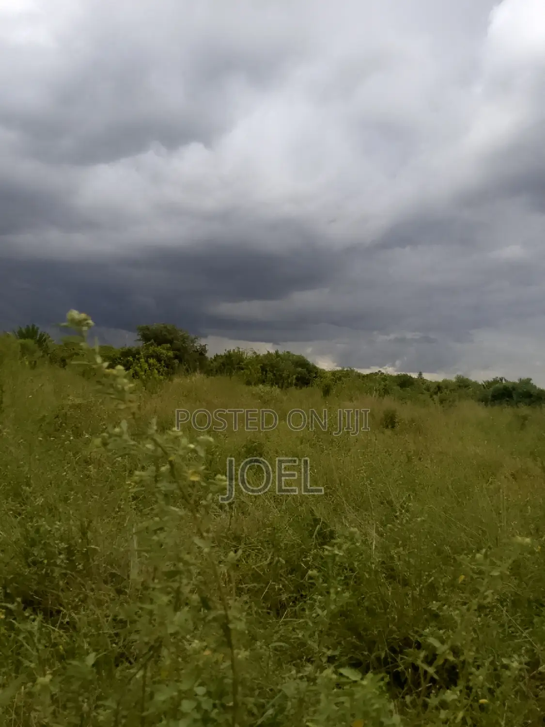 Malindi Real Estate: 55 Acres of Land Available in Town Centre