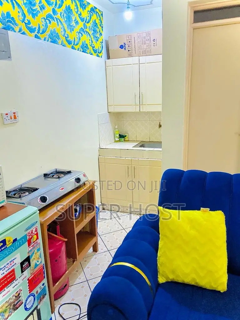 Stylish Studio Apartment in South B Sanasana near Shalom Garden in South B
