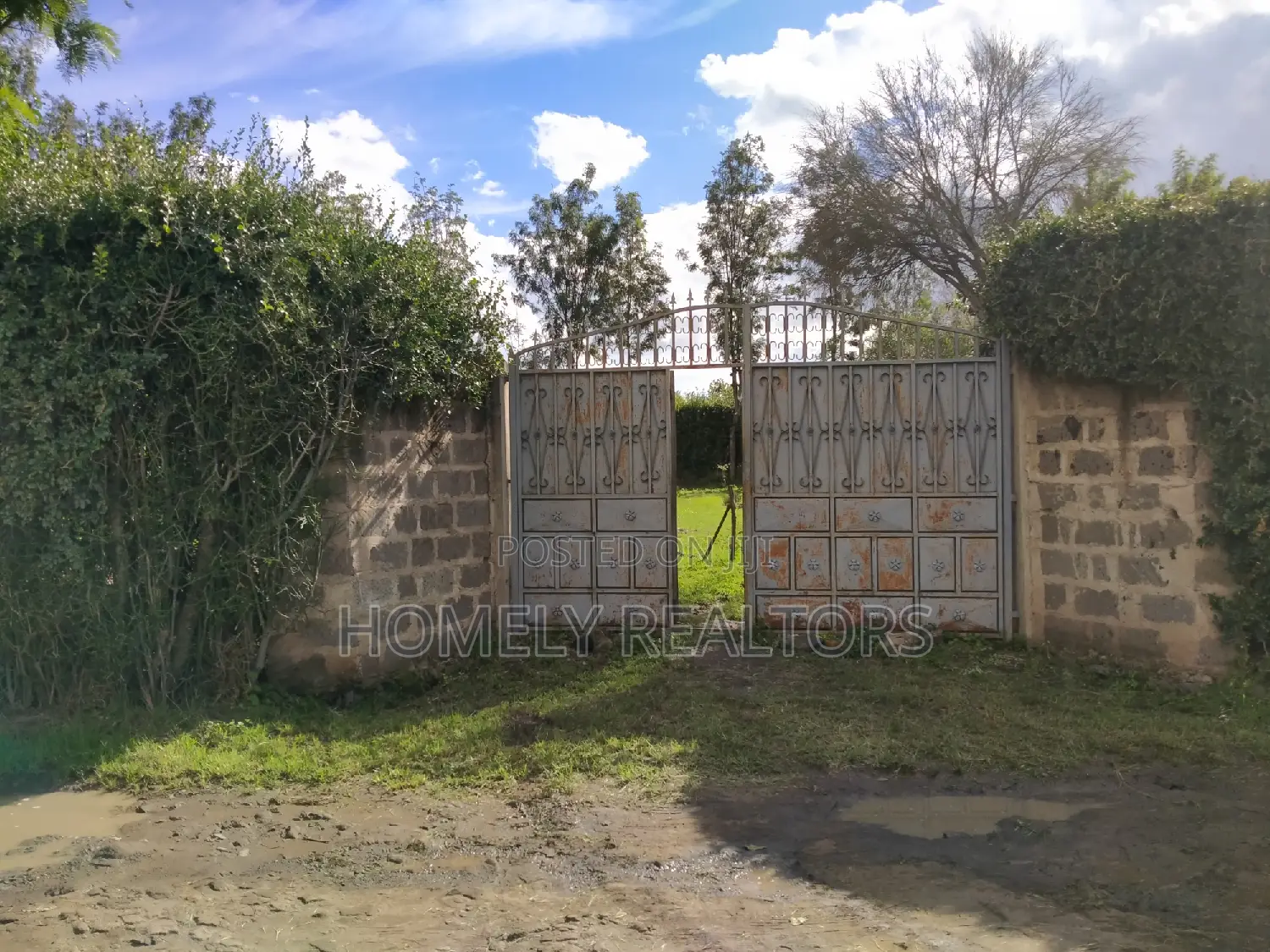 Quarter-Acre Plot Near Rimpa Road Tarmac in Kandisi in Kandisi