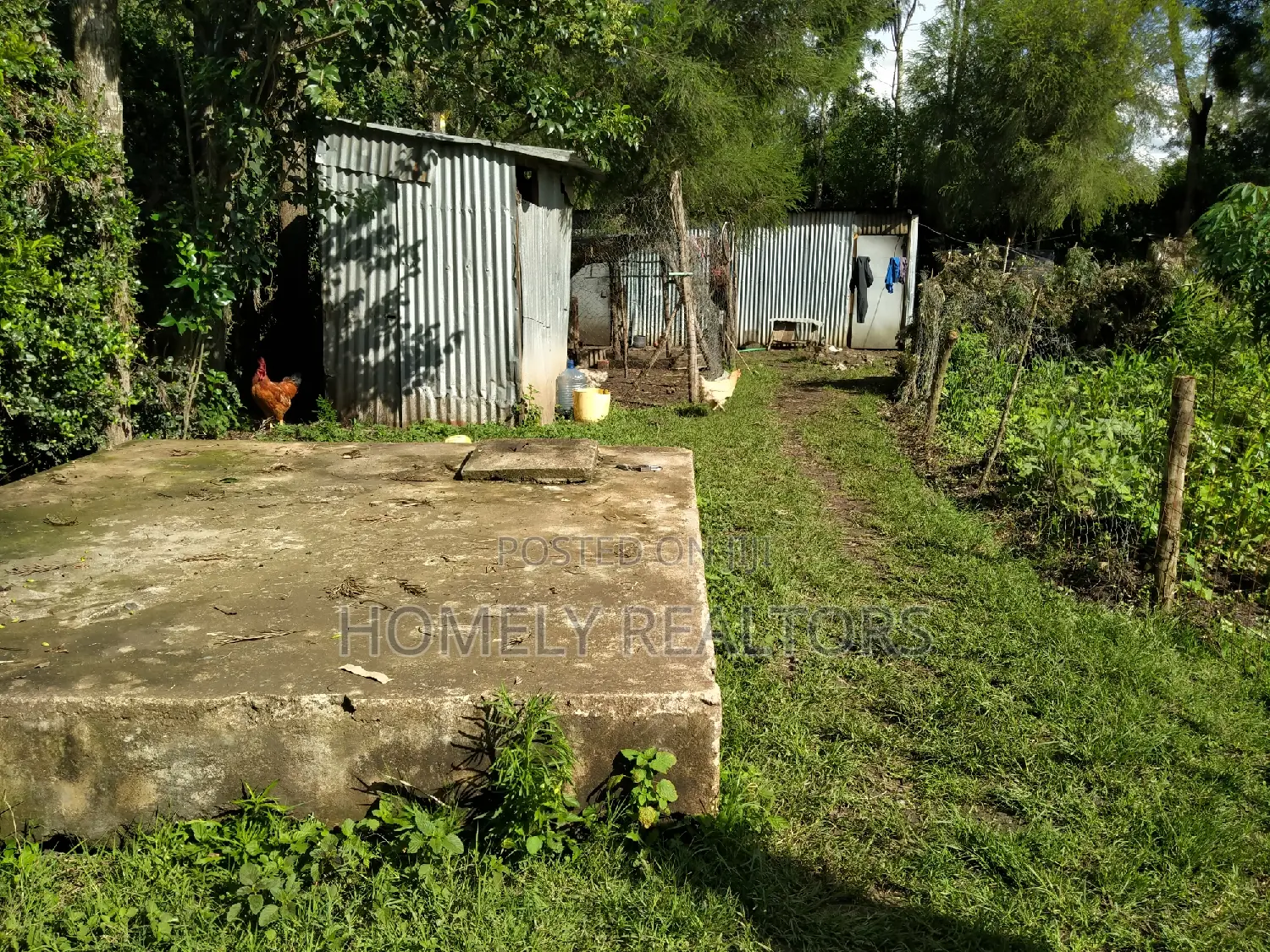 Quarter-Acre Plot Near Rimpa Road Tarmac in Kandisi in Kandisi