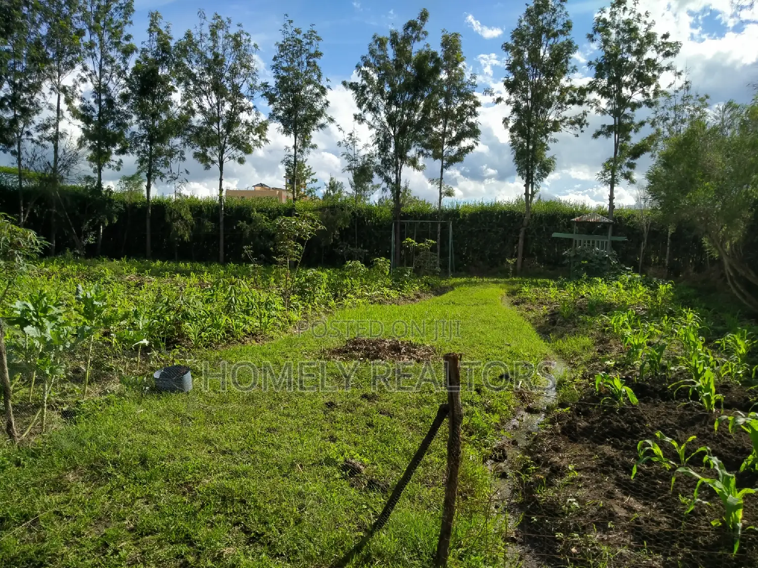 Quarter-Acre Plot Near Rimpa Road Tarmac in Kandisi in Kandisi