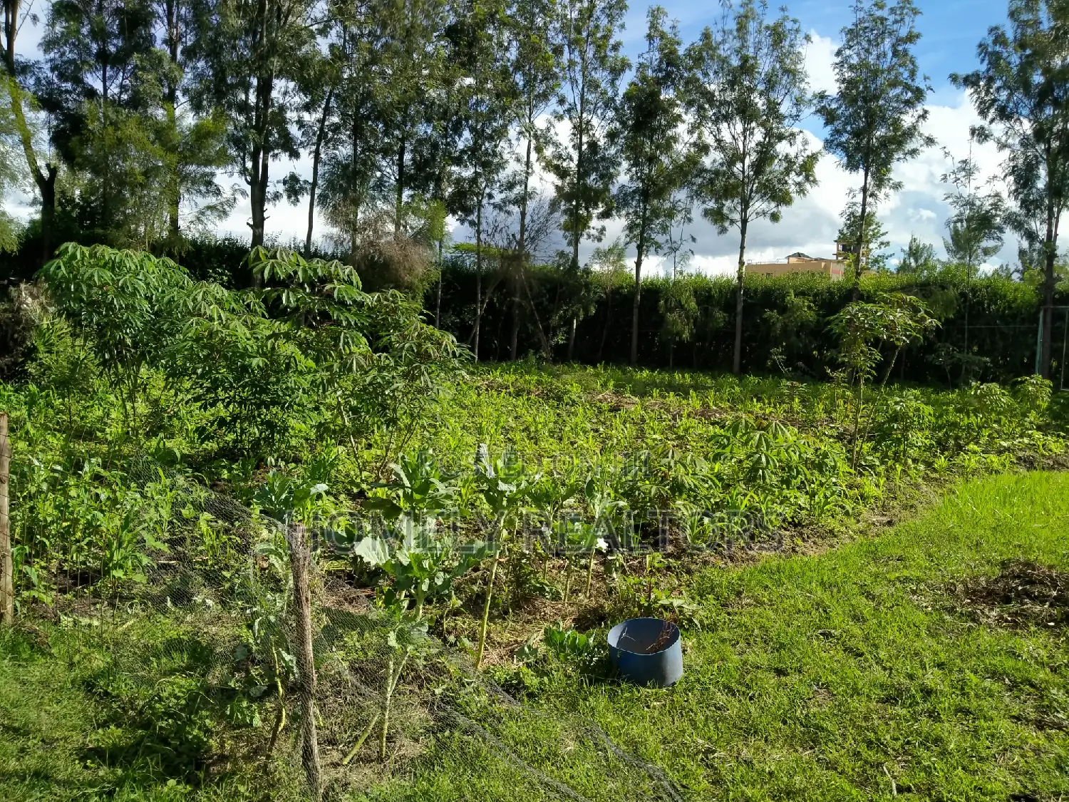 Quarter-Acre Plot Near Rimpa Road Tarmac in Kandisi in Kandisi