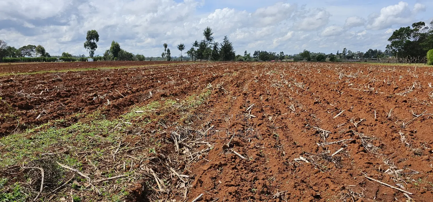 1/4 Acre Property for Sale in Eldoret's Marura Sololo Neighborhood in Kimumu